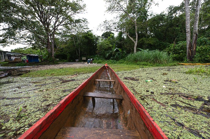 20101203_110040 D3S.jpg - This is the dug out canoe by which I will be transported up the Rio Chagres